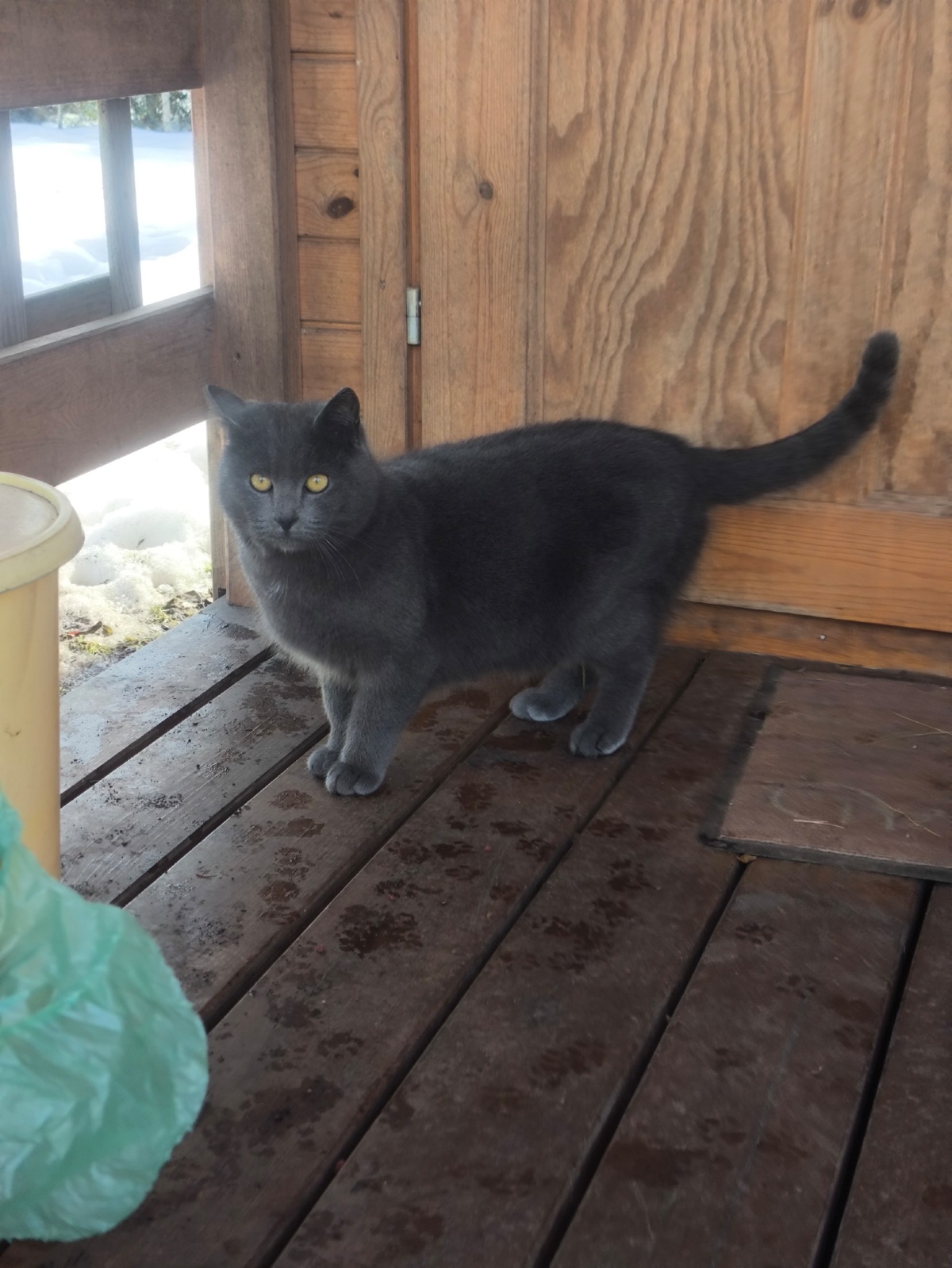 3a6146d6-f731-45bb-9c30-7827a0bf7394