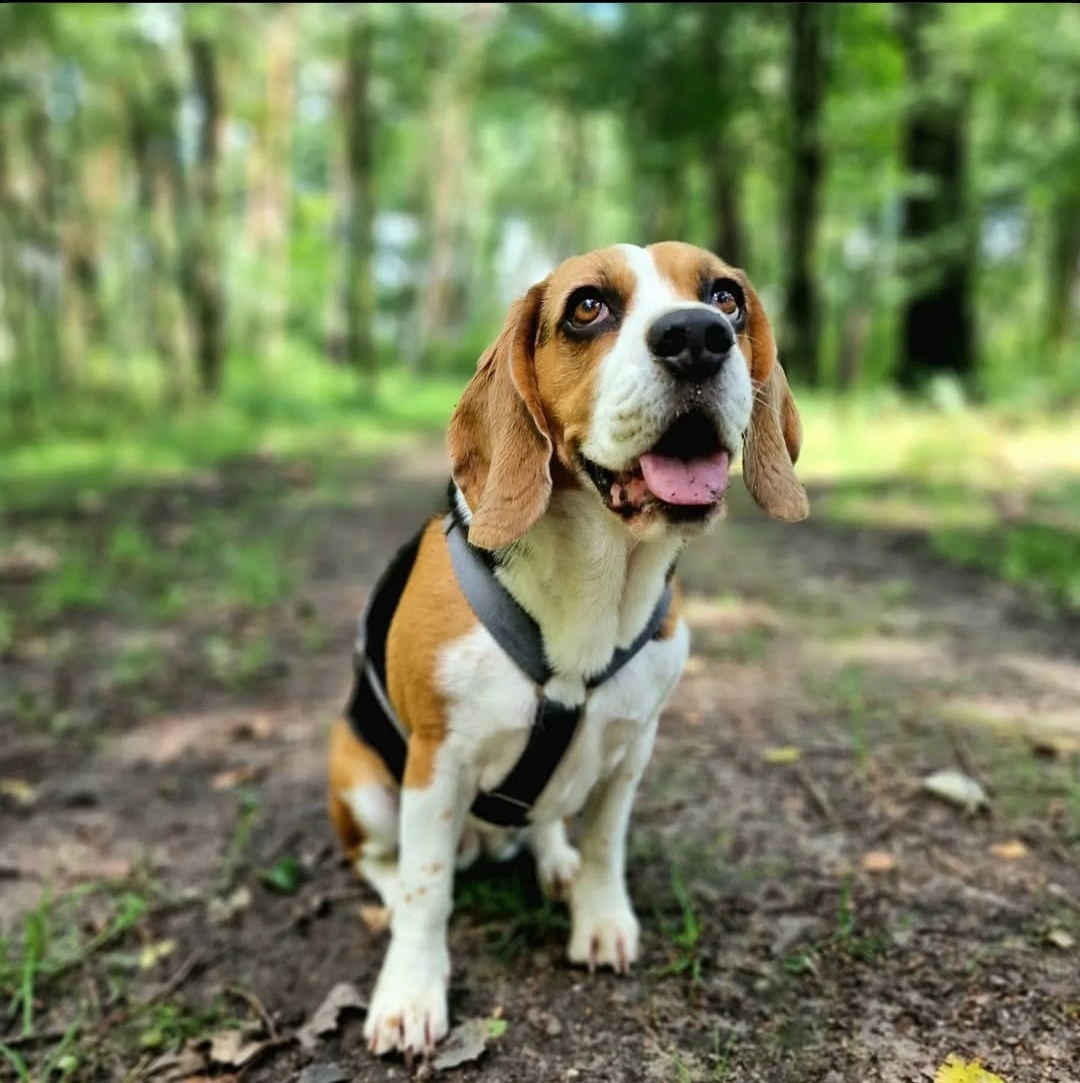 69a673f1-2edf-47fb-824e-956315aa2af1