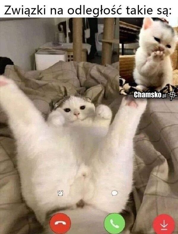 bbd36822-9019-4a91-8595-0ad71952bfa5