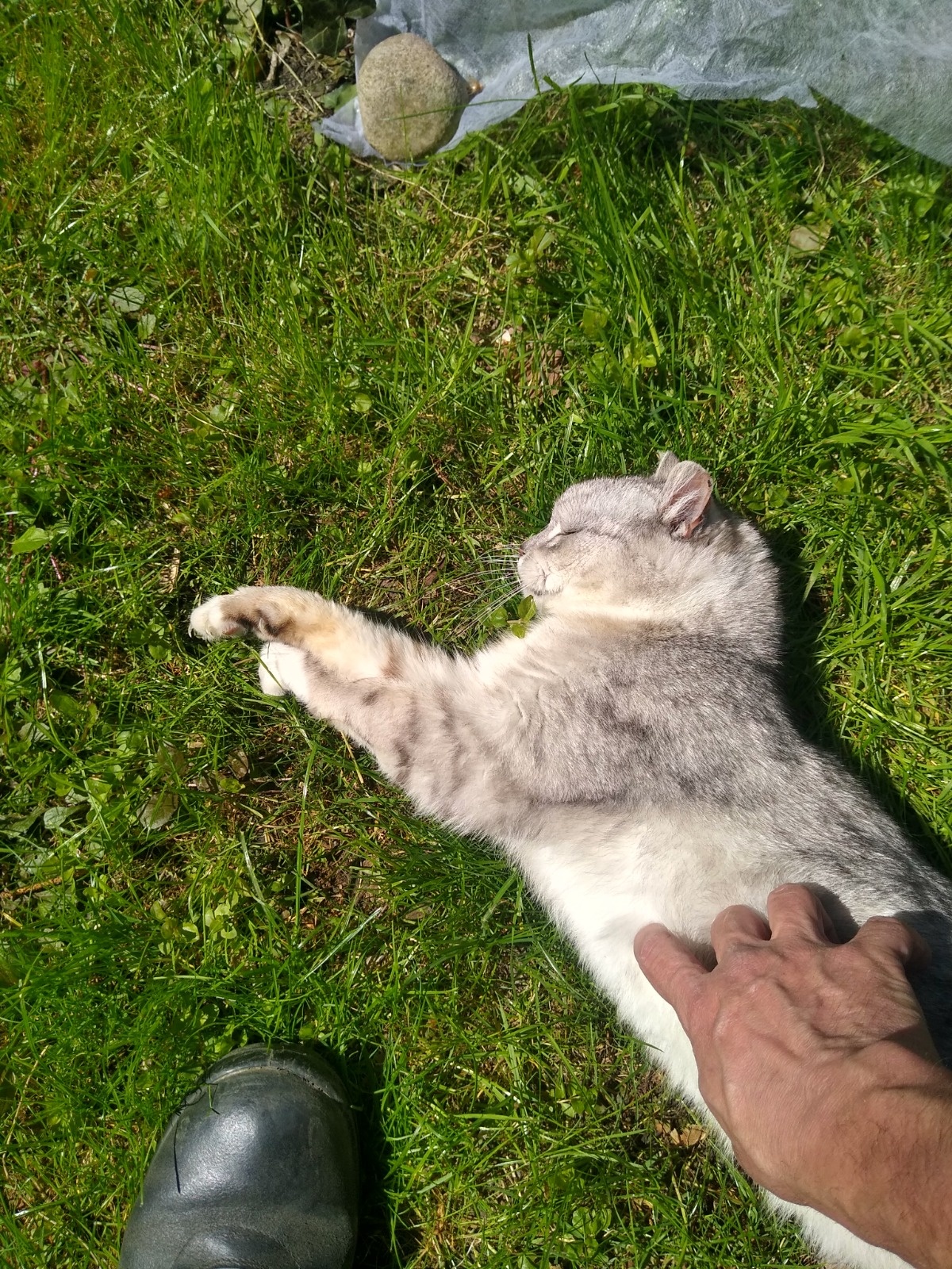 68e1858f-0411-4c54-bdf5-6d4b678b09ad