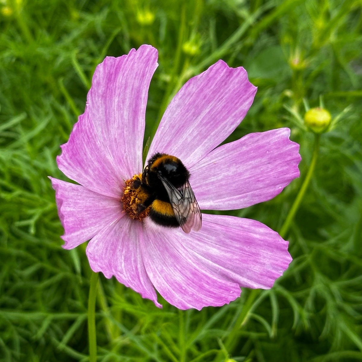 a7a8c359-a833-434c-8f18-6a3f4c198b38