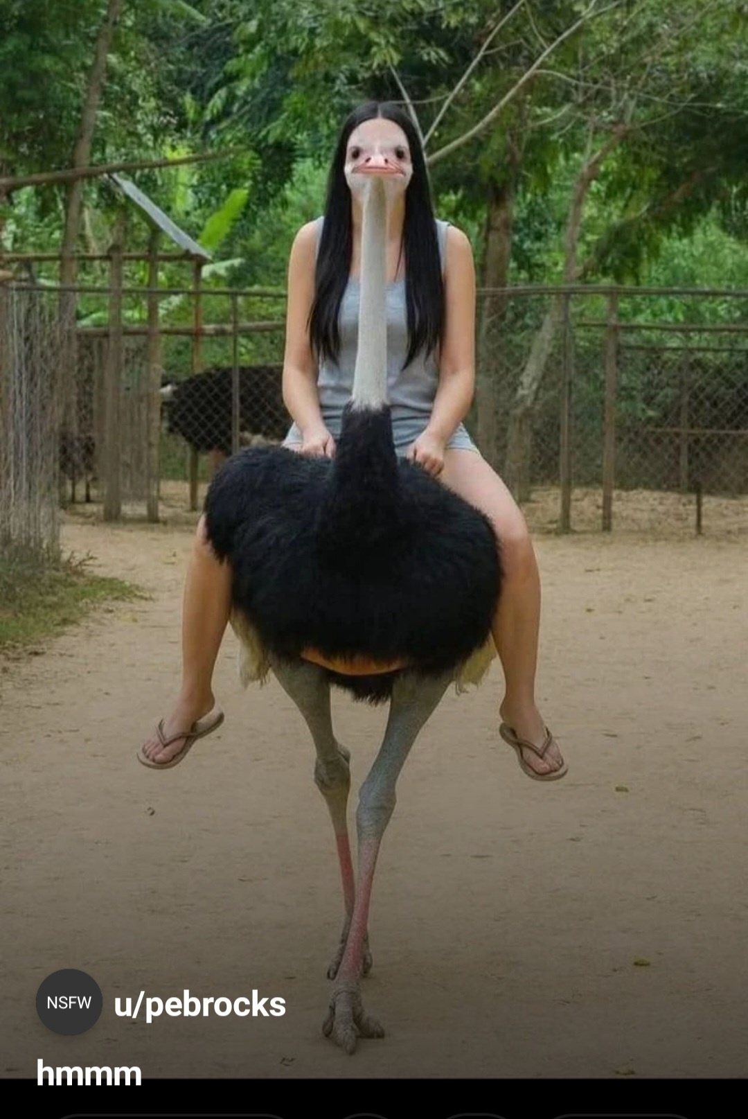 543da2ca-af33-41f1-afab-bcd9a3f6ccc2