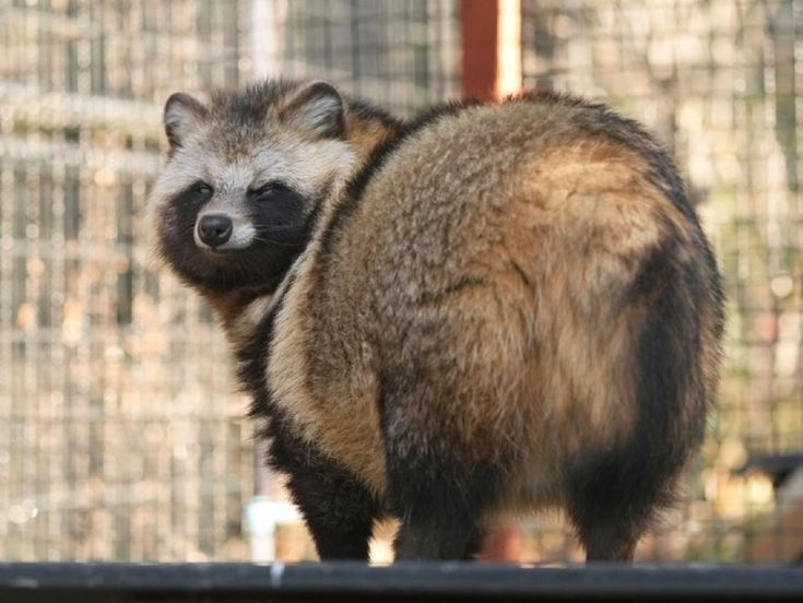 ad16f7af-9c21-4d9c-bbb0-b62a83a26dde