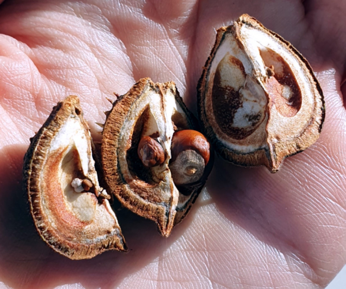 7c581e42-4525-46b8-a2c5-df4ea054e4ba