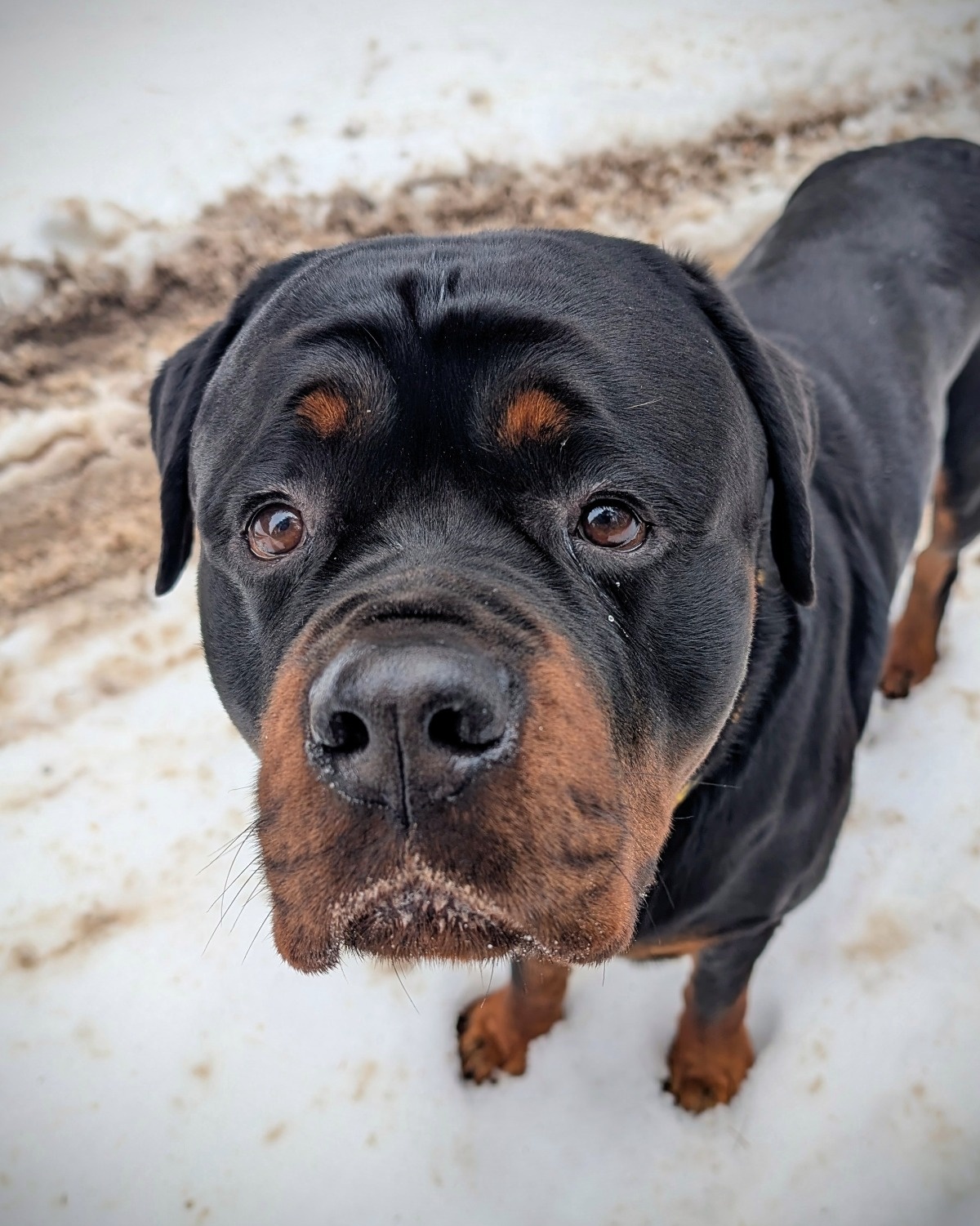 cd6bc910-092a-4cf0-9964-02aea4c84e8a