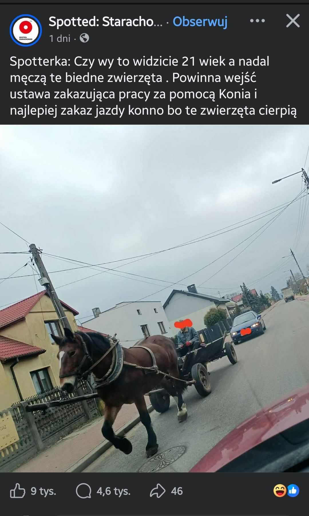 6f2fea94-9949-4f46-98c5-9c668698273d