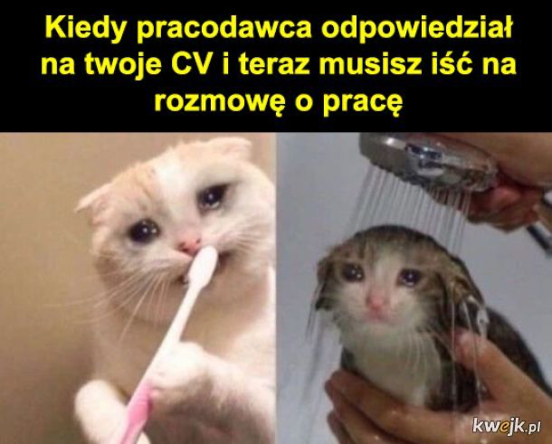 5fb500e7-ea74-43df-ae11-9e3f9728c0ae