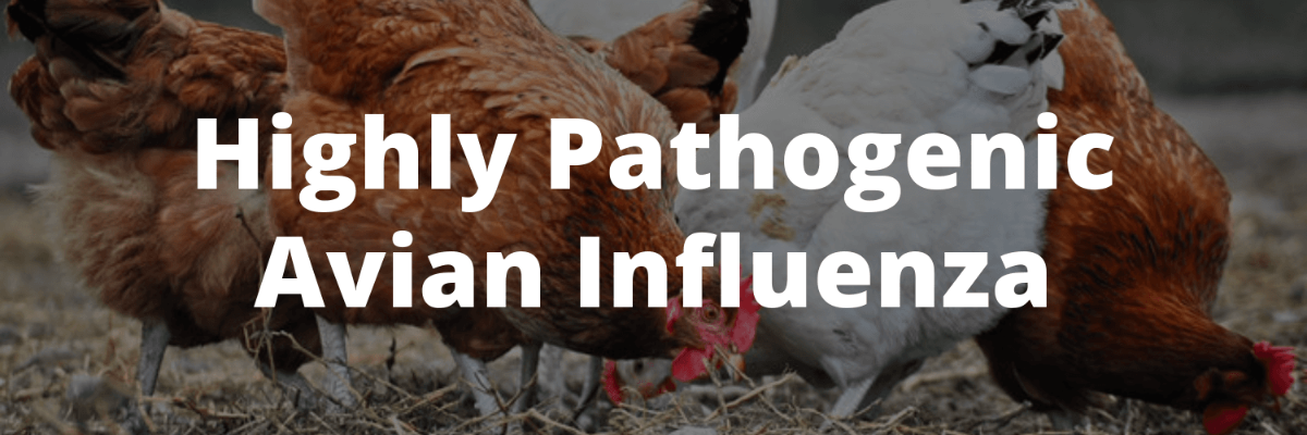 73215135-8930-495b-9d2a-ef9be5ed4850