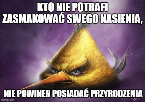 41e839b1-c1d3-4e77-ab5c-6e4e8130fd69