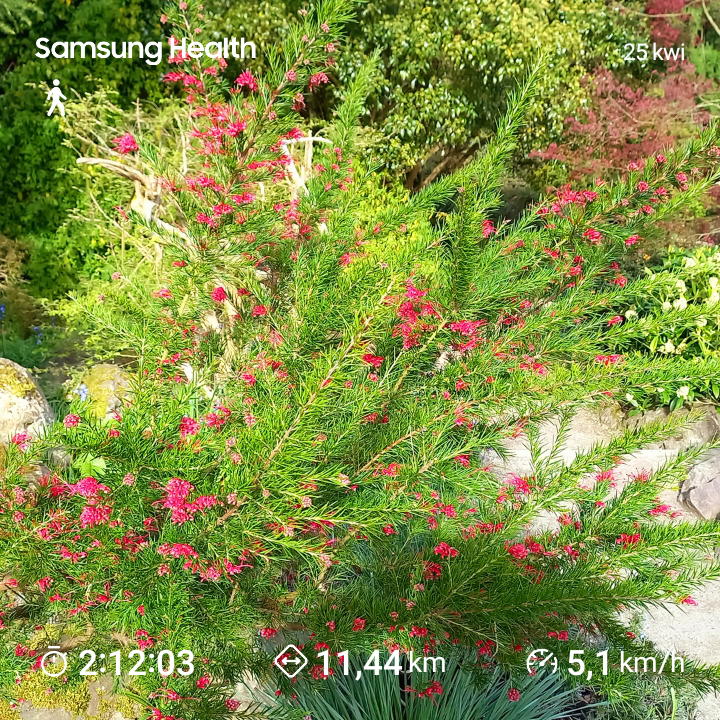 1b8fdbc8-95e9-434d-b050-f50c4c2dcfd8