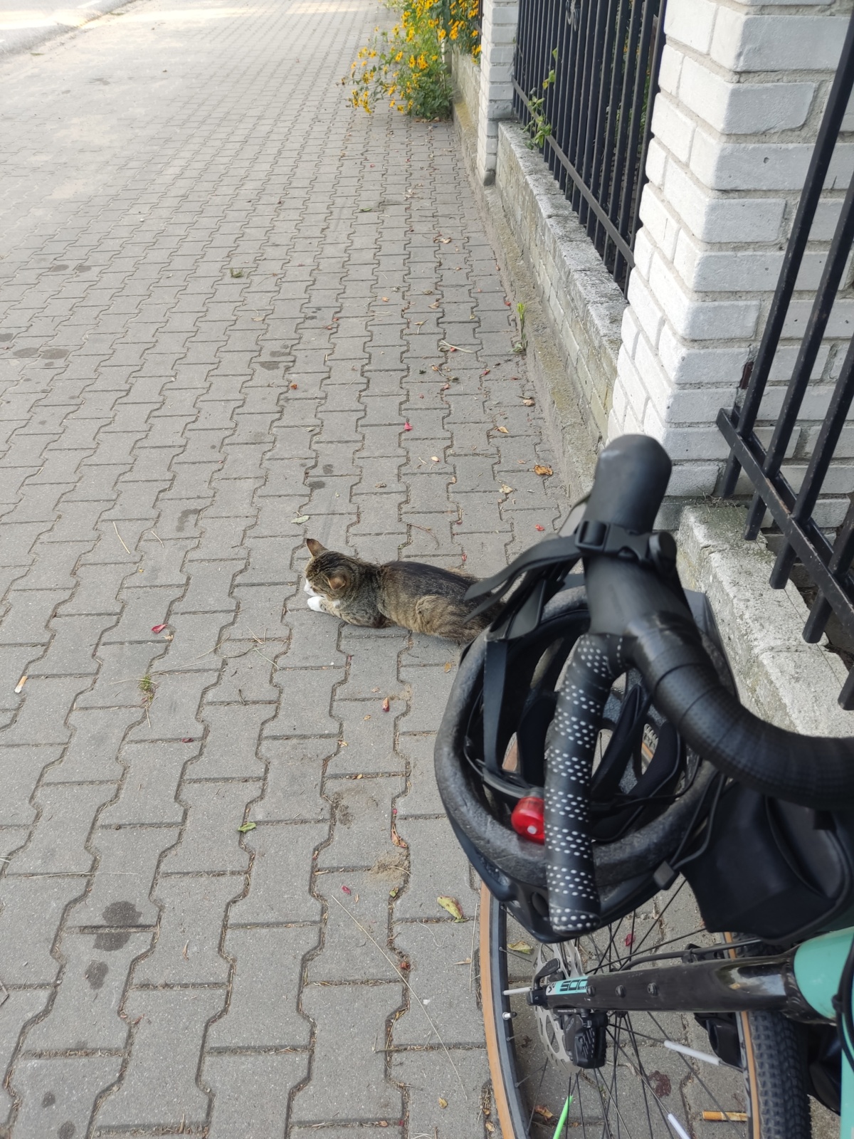 66b07088-a281-47e6-bc30-ef3a5b2d2692