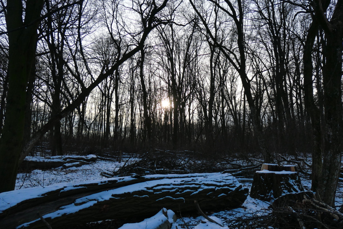 116e9be4-3a8c-4fef-8e3a-34577312322d