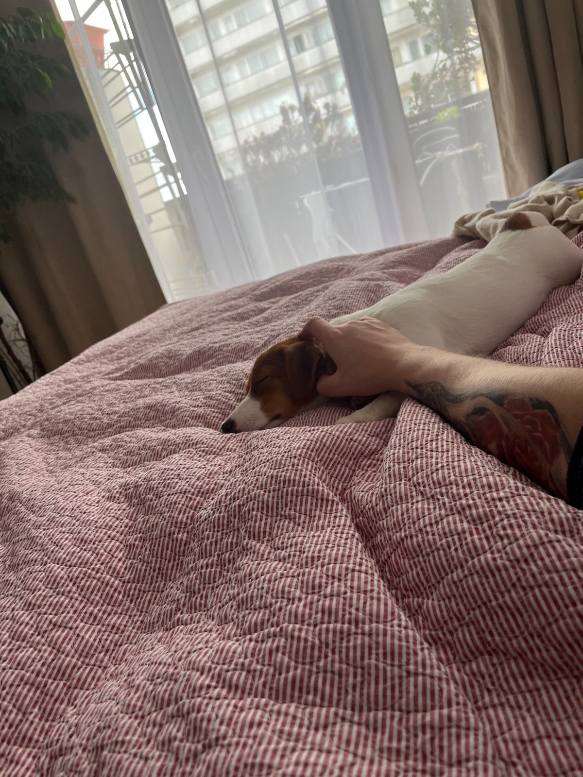 106830a9-313d-4c19-902f-76dbdf976aeb