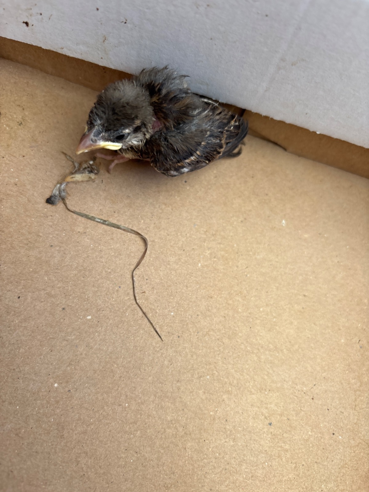 a9ce9a12-7633-499d-bd89-11be416d6e82