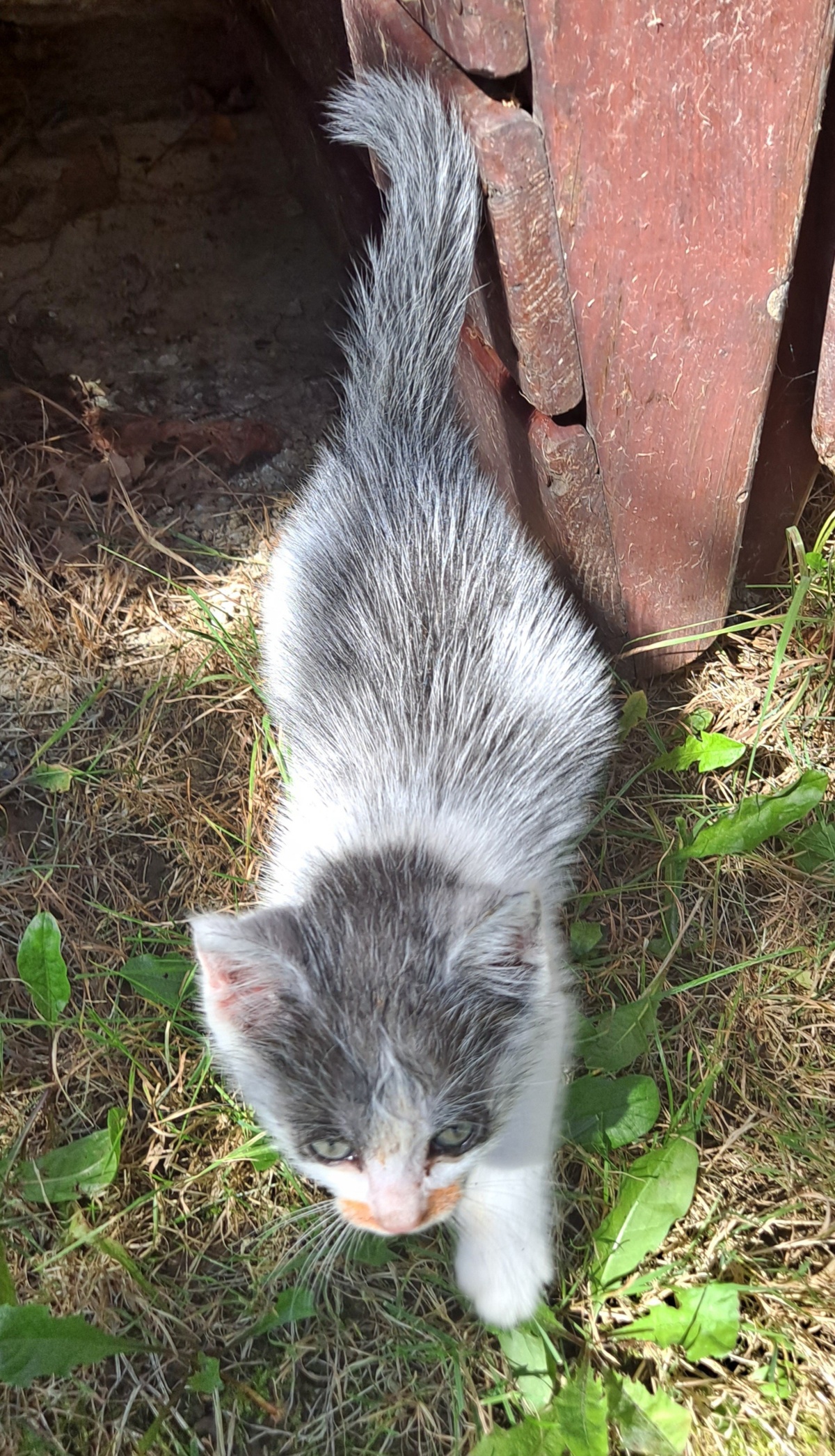 56cfe3e9-6729-45d0-ab09-00e3b2395800