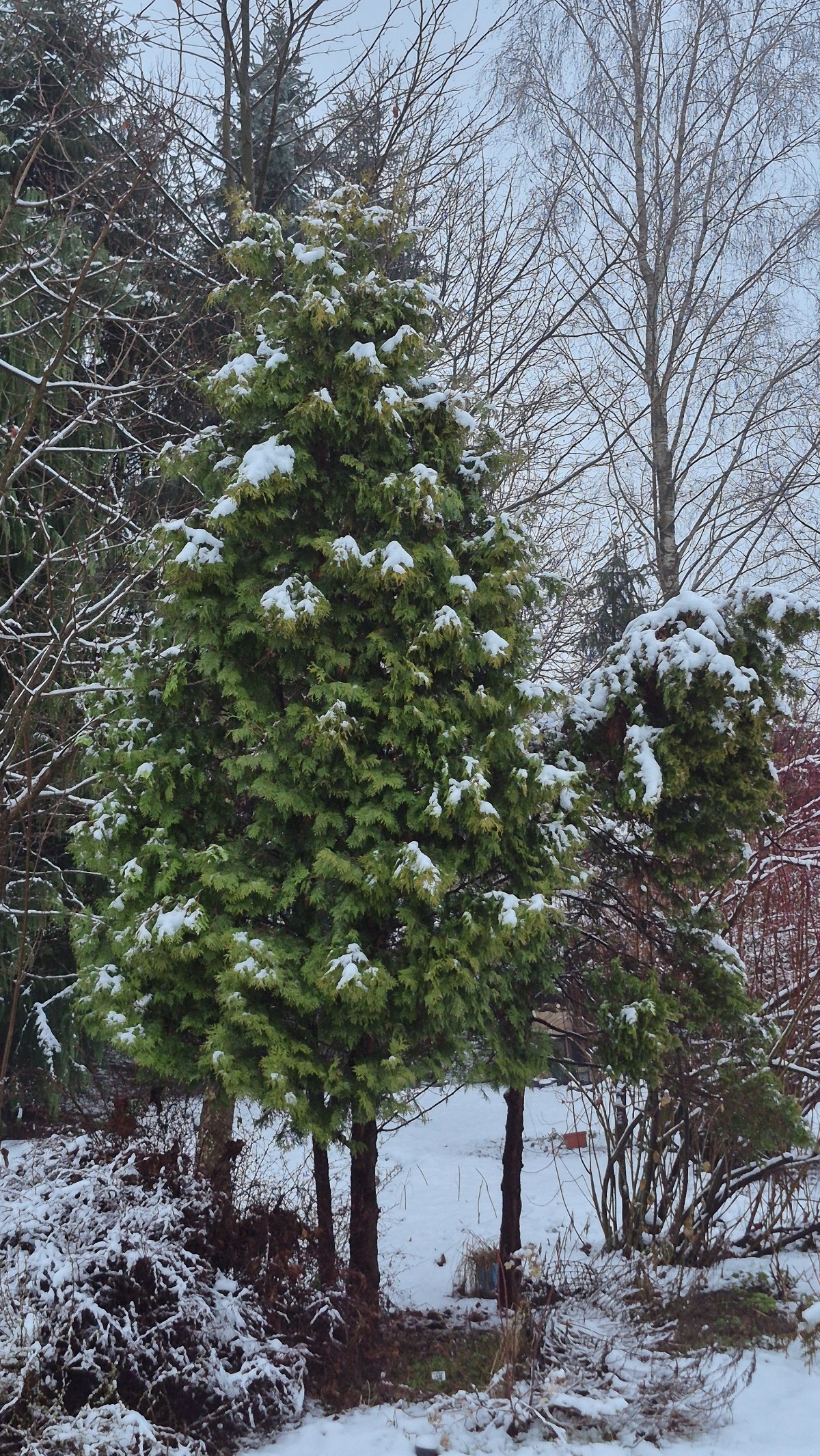 fac33ac4-0f8e-4d99-99e2-42857bf78a61