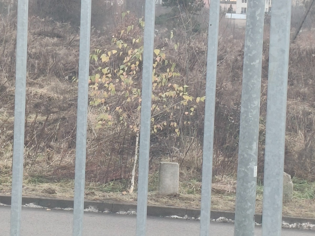 b11f41c7-ebc3-4acc-b524-7f7f25d38d3c