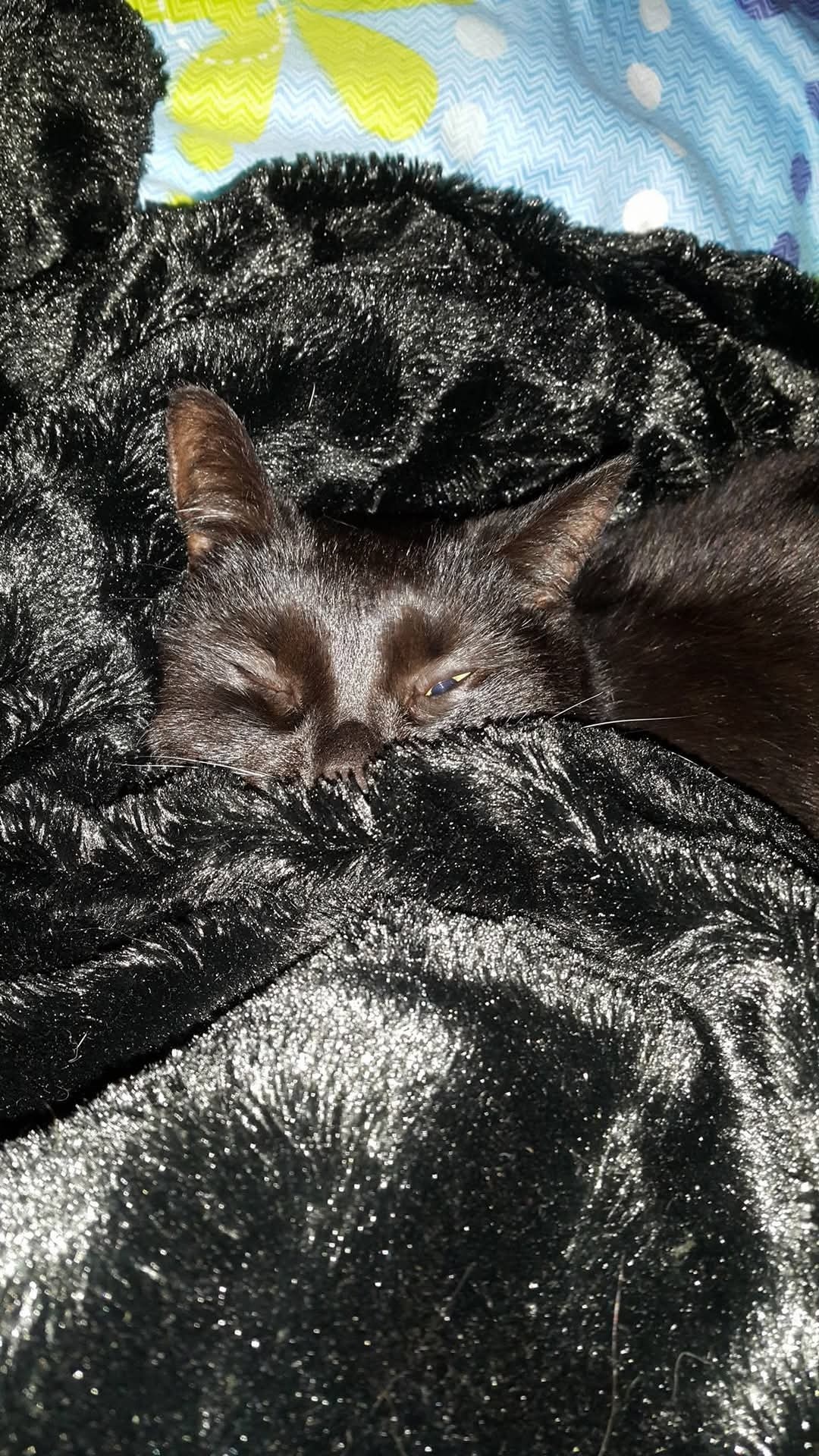 13488dd4-d260-4f95-81b4-1f73afe7cecf