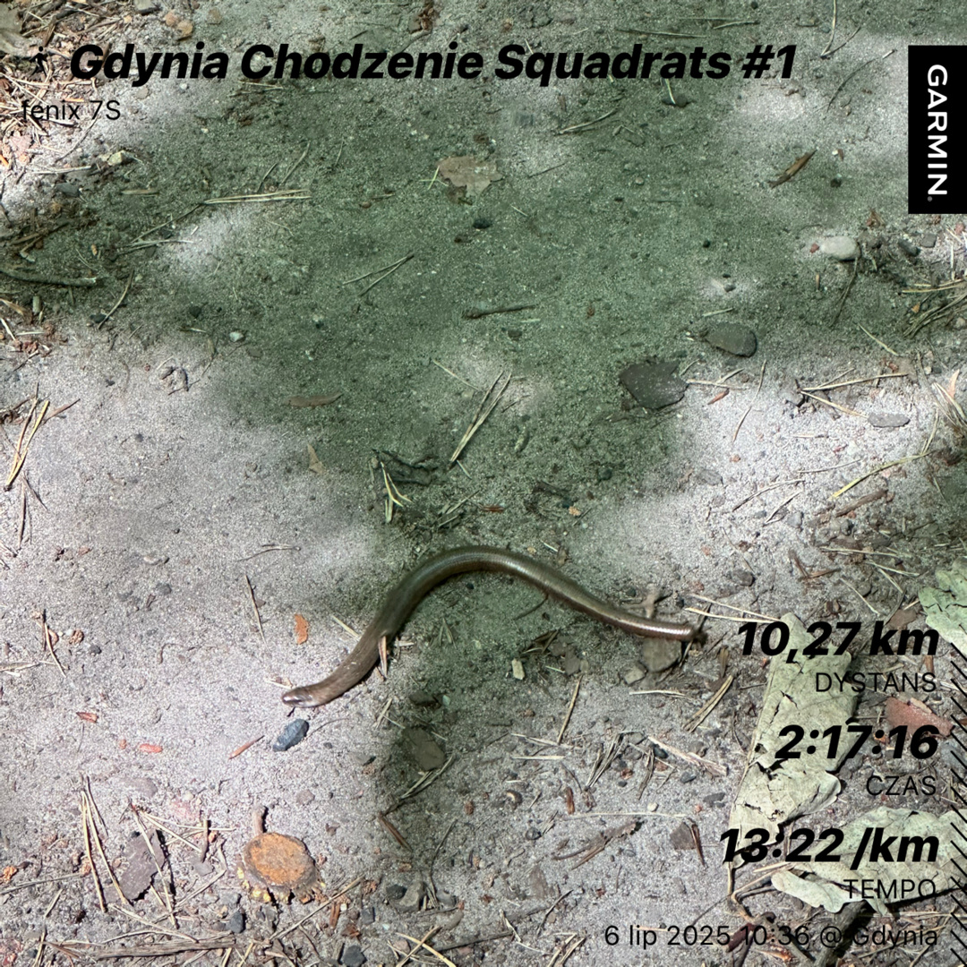 d53f9937-2fff-4a99-8ce0-699f7819a911