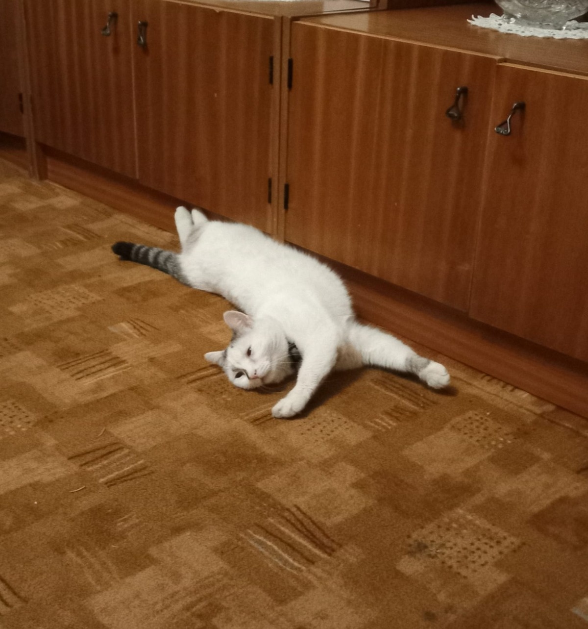 593acdf1-d30b-477b-b6cb-346983d66d94