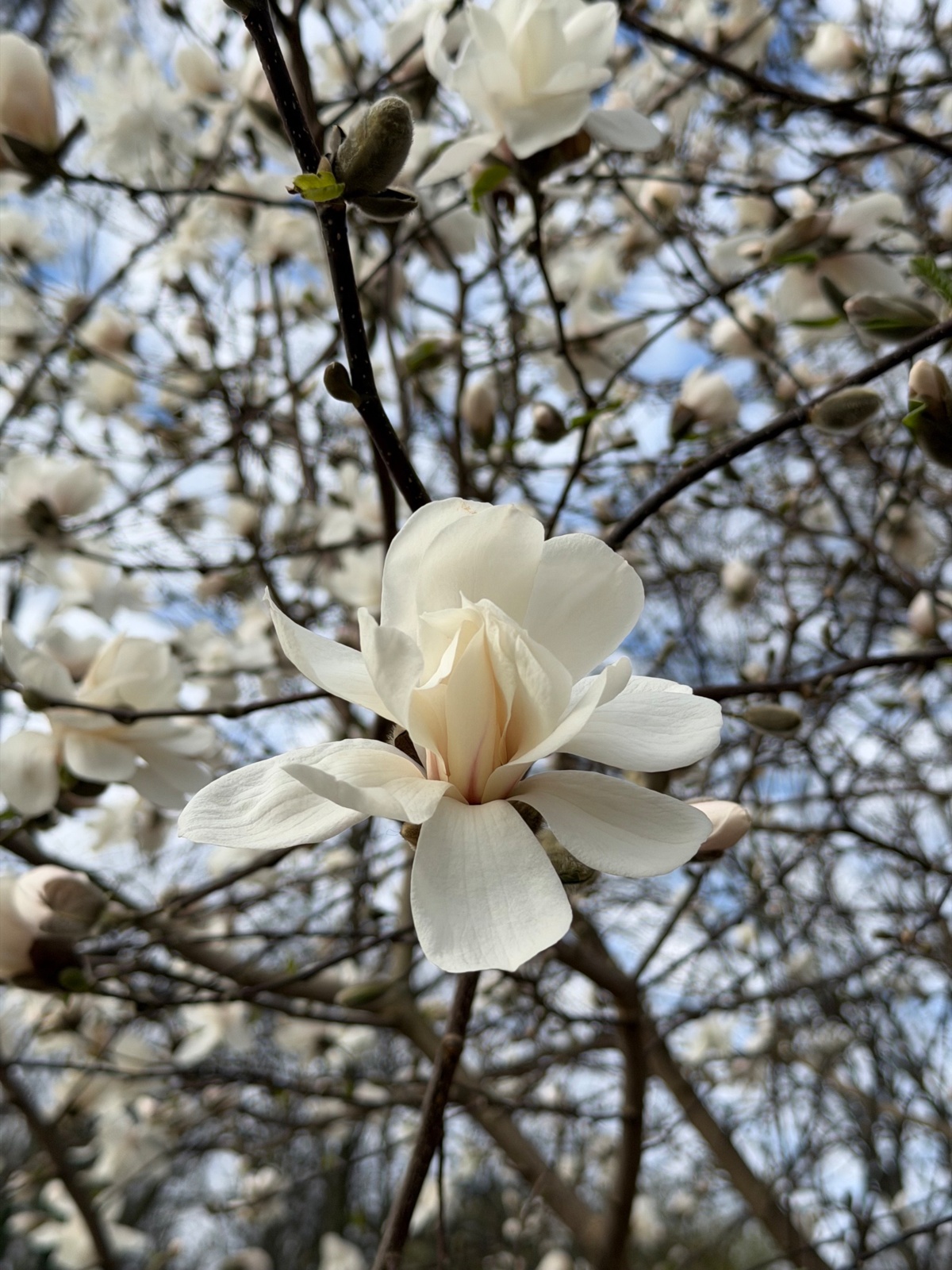 465478d5-058b-424c-b1f0-3231f129523b