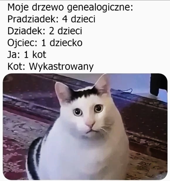 34c52488-8133-4ba0-8b88-f6f45e15f8fd