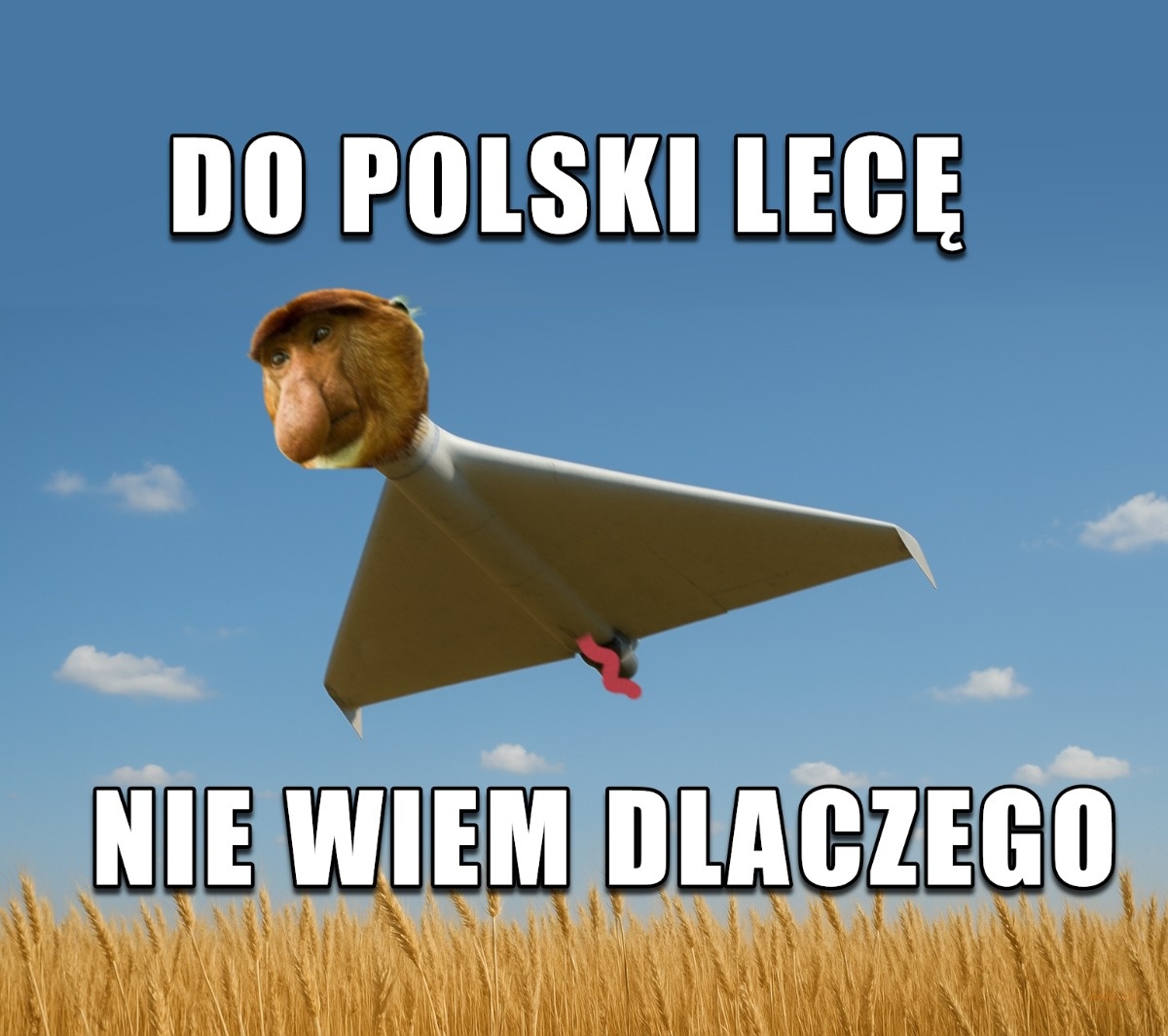 e13ebb0e-d59a-4341-b8dd-d335cfbd64cd