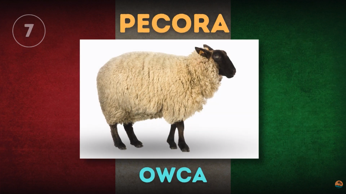 c182b7ef-6875-48ef-bdd3-8f4ebbaa1a8e