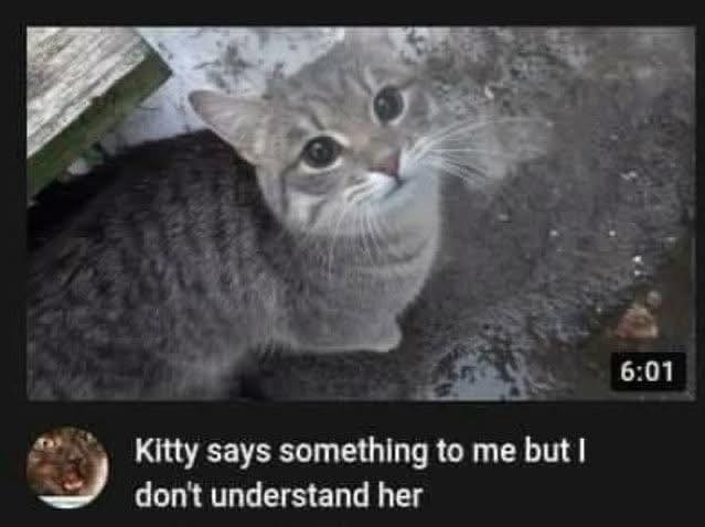 842518f6-b800-48e9-8578-5c9e5c5374f5