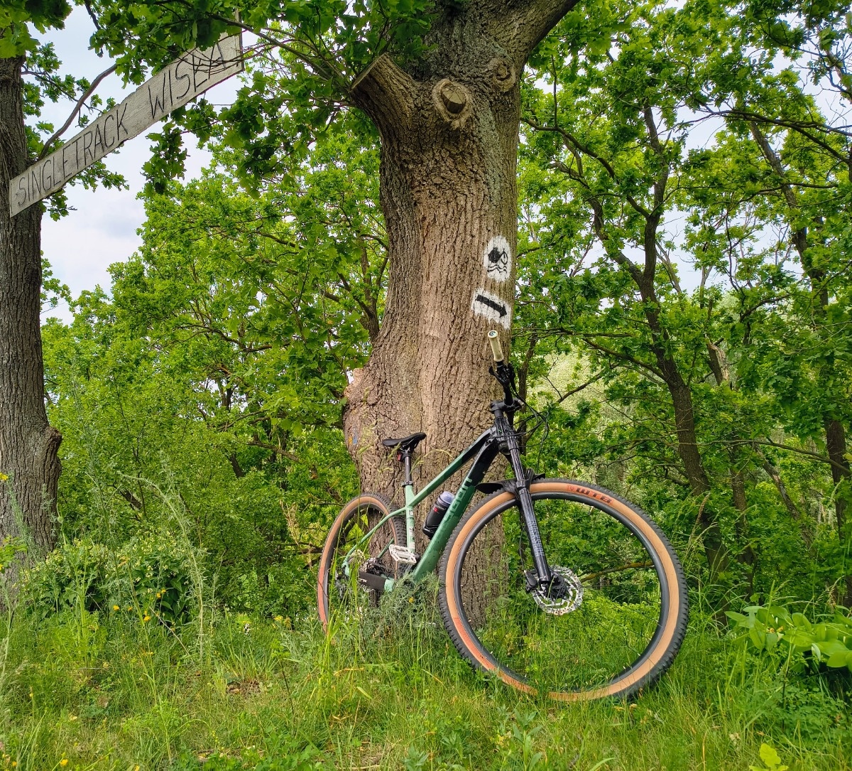 54b37f98-4752-4691-9676-255ff6ac647d