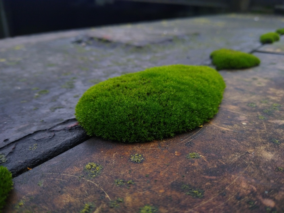 fb56d2c6-1cb2-4fc6-bdc8-7f06439b1007