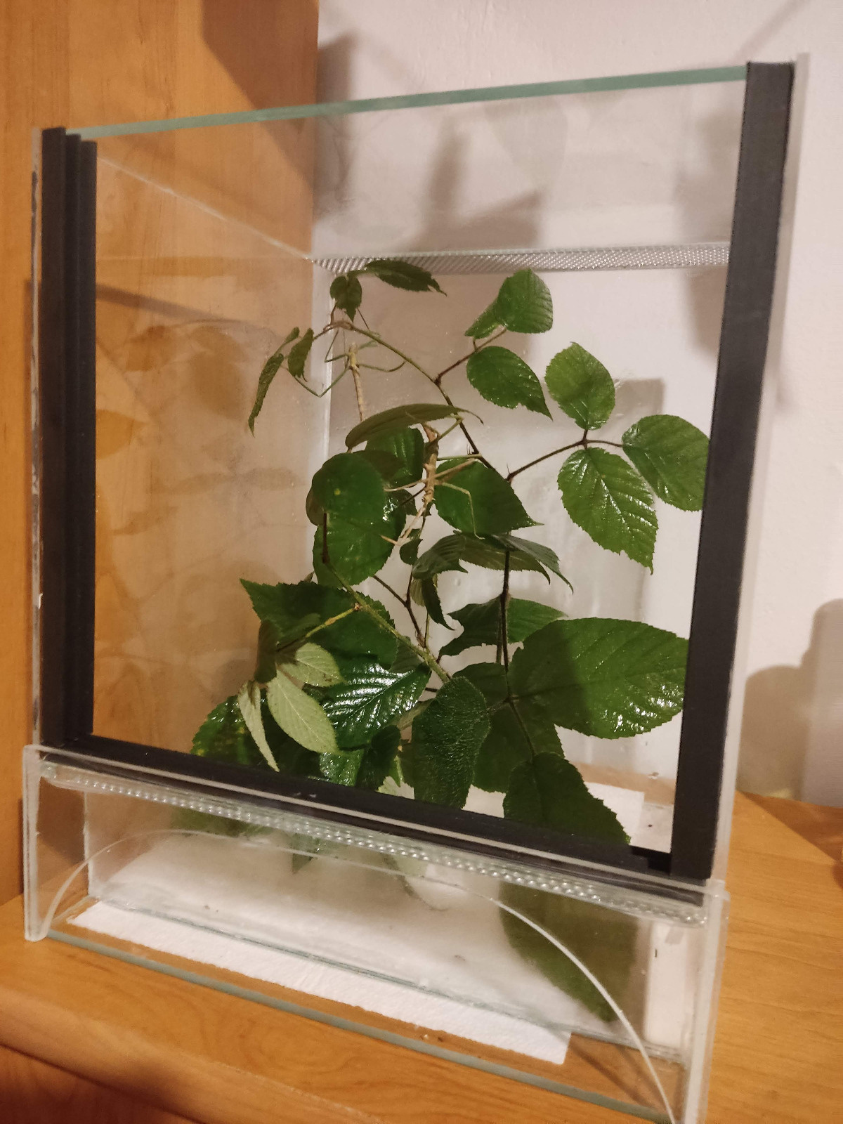 8f27d98e-5da0-464d-ac4f-985ad18cf147