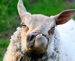 9b74f8e6-0184-44dc-aa19-d17011b787f3