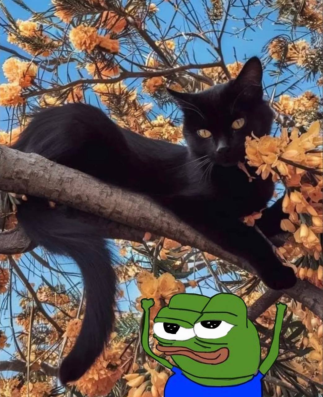 52d9f9c8-22ba-46dd-9dde-5148707345bd