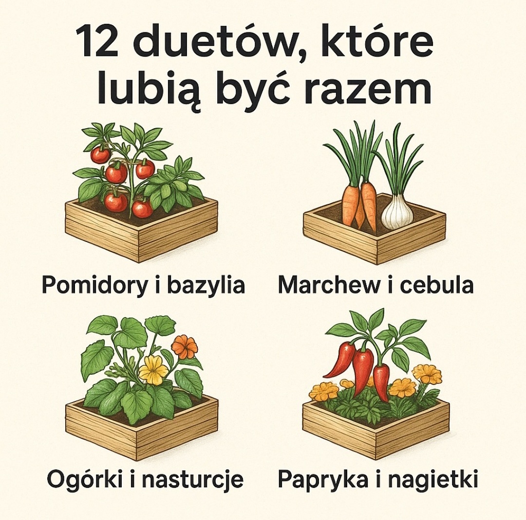 44015152-cc40-404c-b67f-aa884323b94e