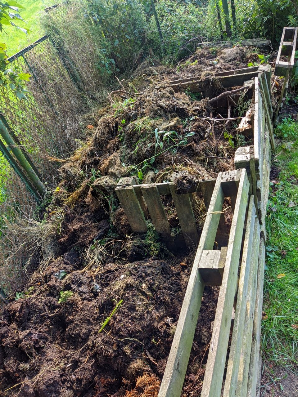 6662ae4a-84c6-4b1a-b699-07b2ef71d009