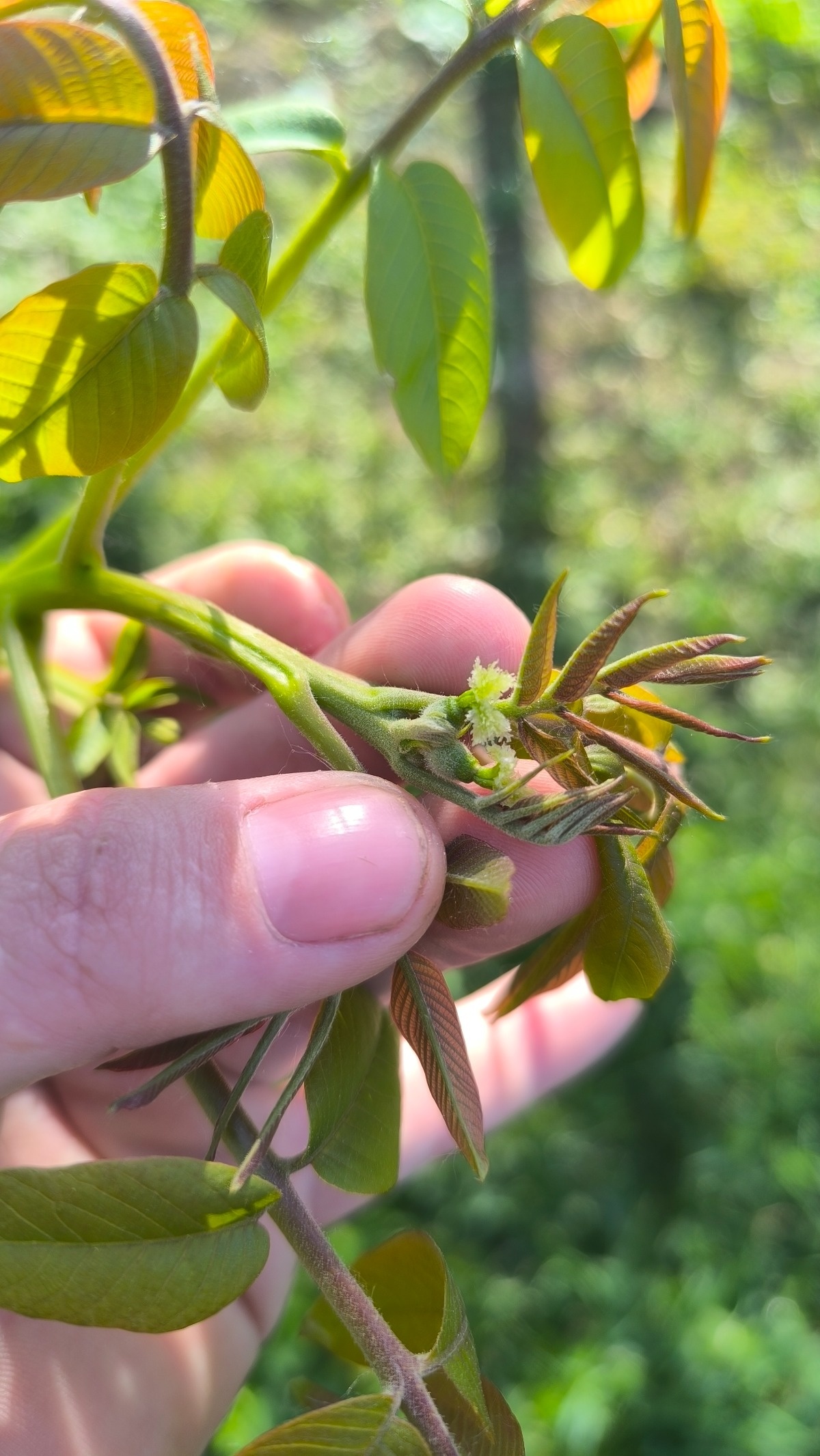 715c550a-f5af-4db6-add9-3ad57a78879f