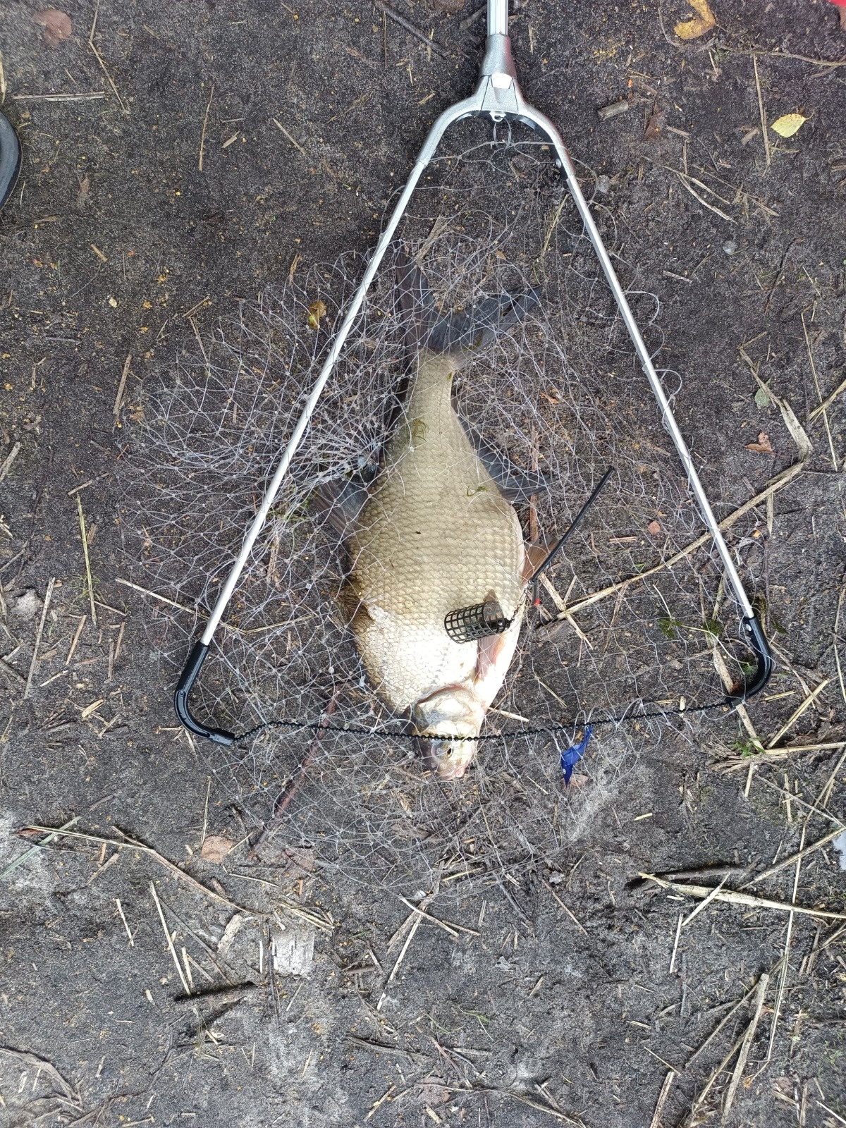 8b250d3a-99a8-49a4-895b-a43ecc9c5ae2