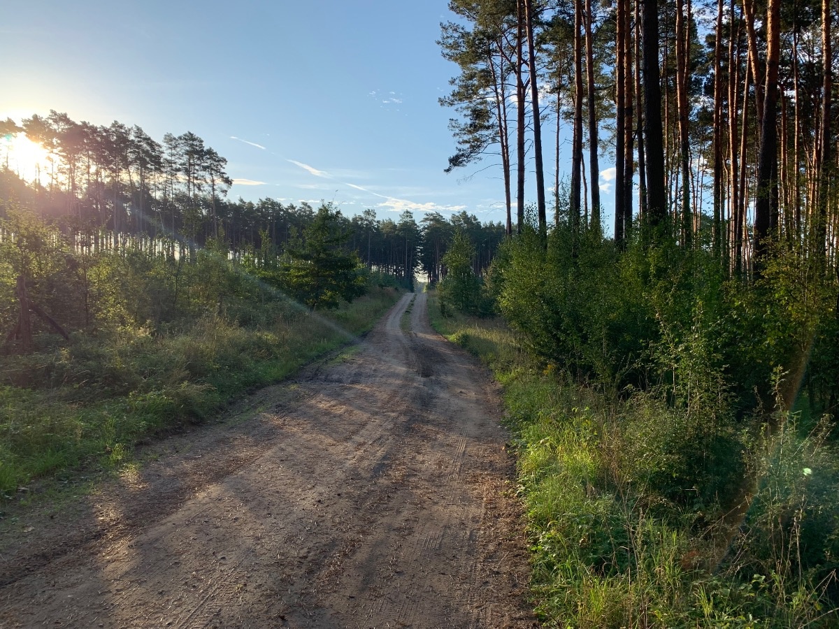 d011cf89-c5fe-416b-b6af-207a648e0eff