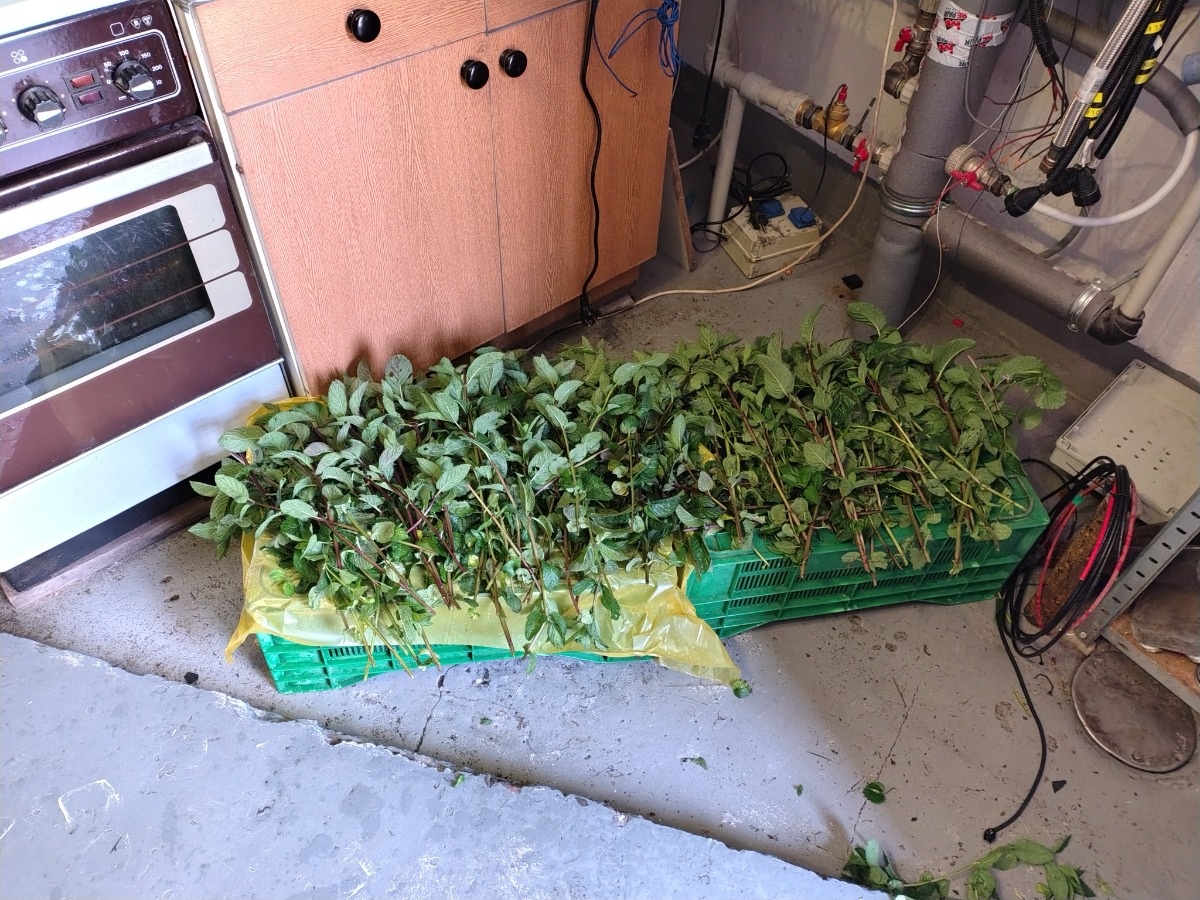 751b6e61-7d6d-4c60-a12f-14226defe055