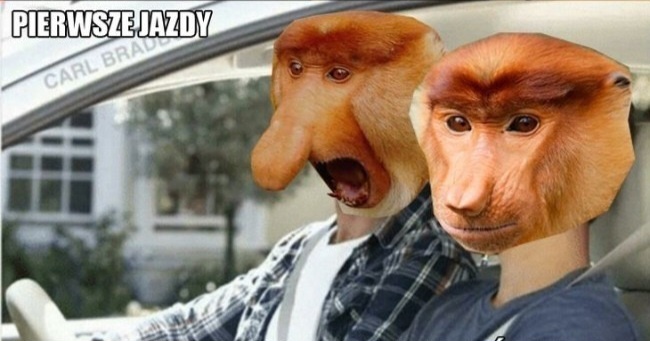 Zdał egzamin i od razu stracił prawo jazdy. Wszystko przez ten wybryk