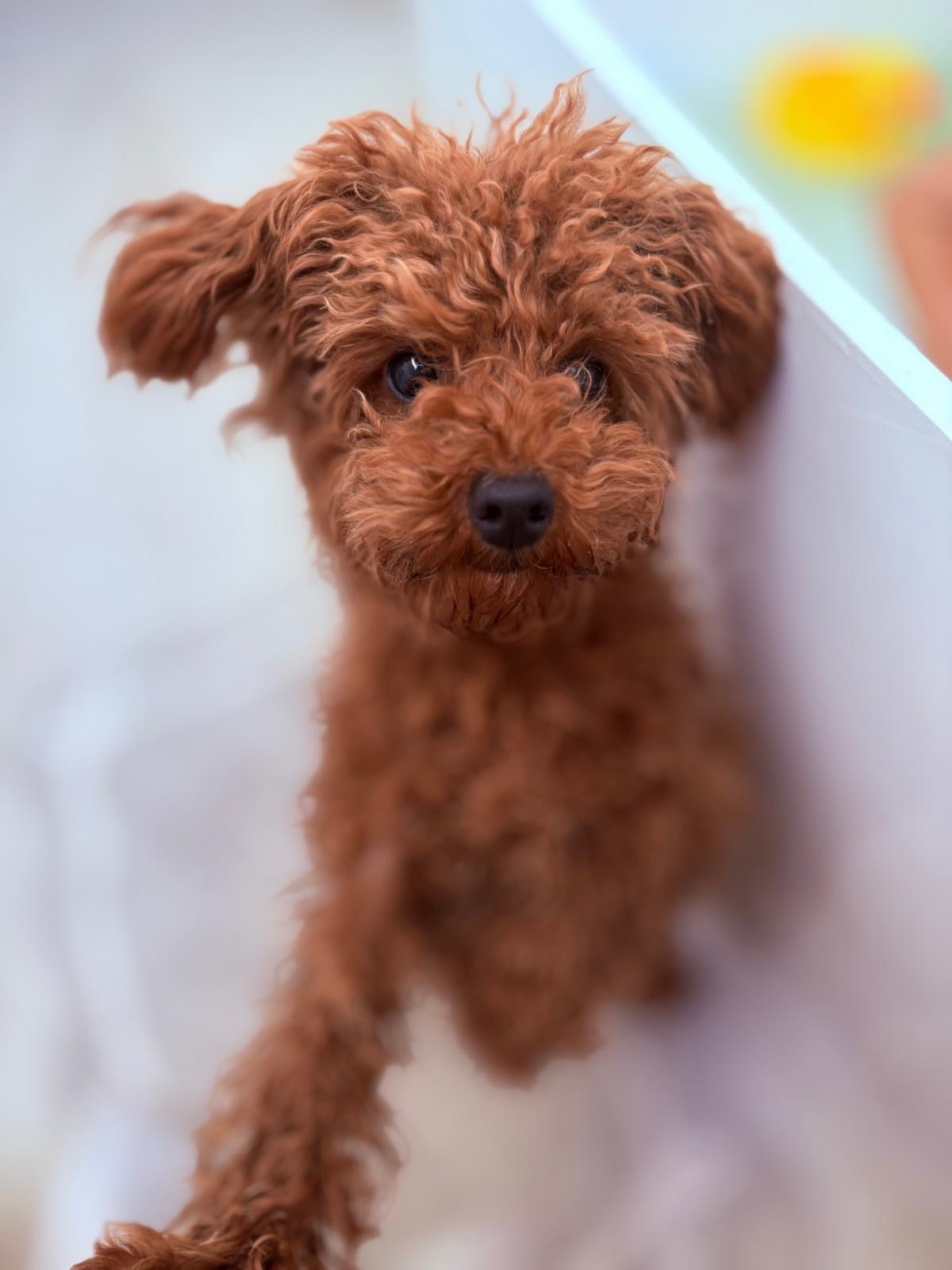 acd0f0c3-e407-4291-935e-492b6313f177