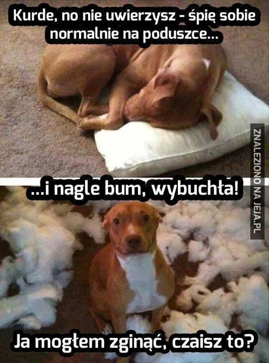 7e90dc08-1484-49c0-af84-6c31dae3e2d3