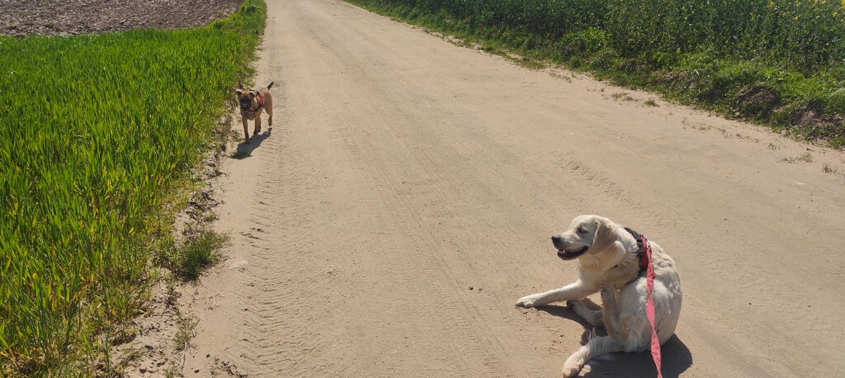 f72f7a02-cc4f-4b63-abd9-77ea57ea9e83