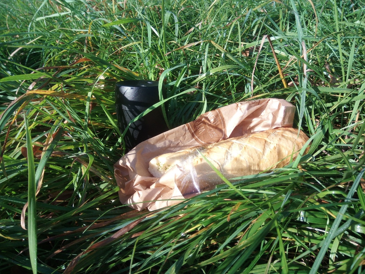 949a47b8-b234-49c5-8774-dd76c20f036b