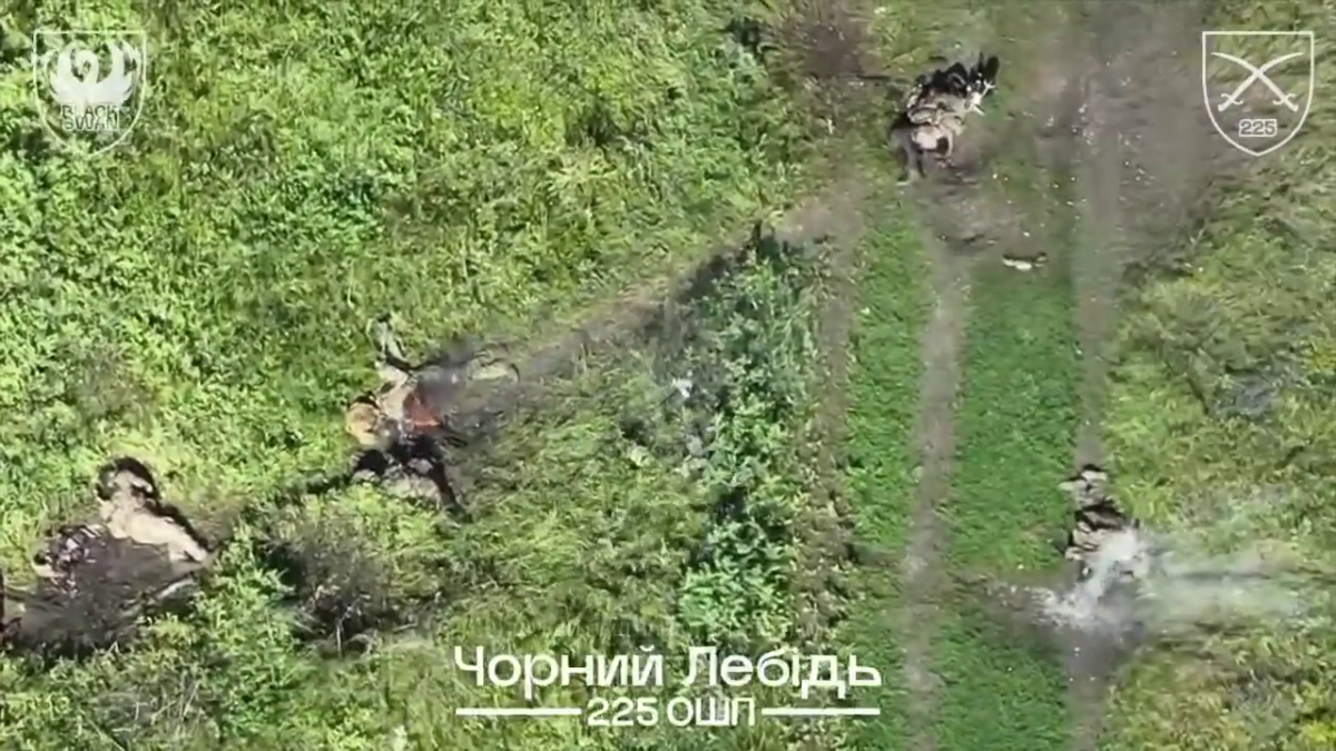 1c38a5fc-a83a-4d37-a413-c3e01e575128