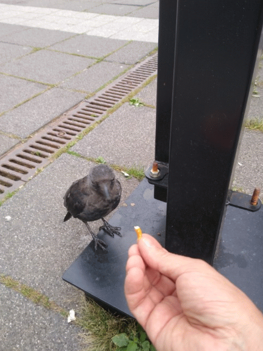 73bd8bcb-12e4-435f-8de6-f984b680911e