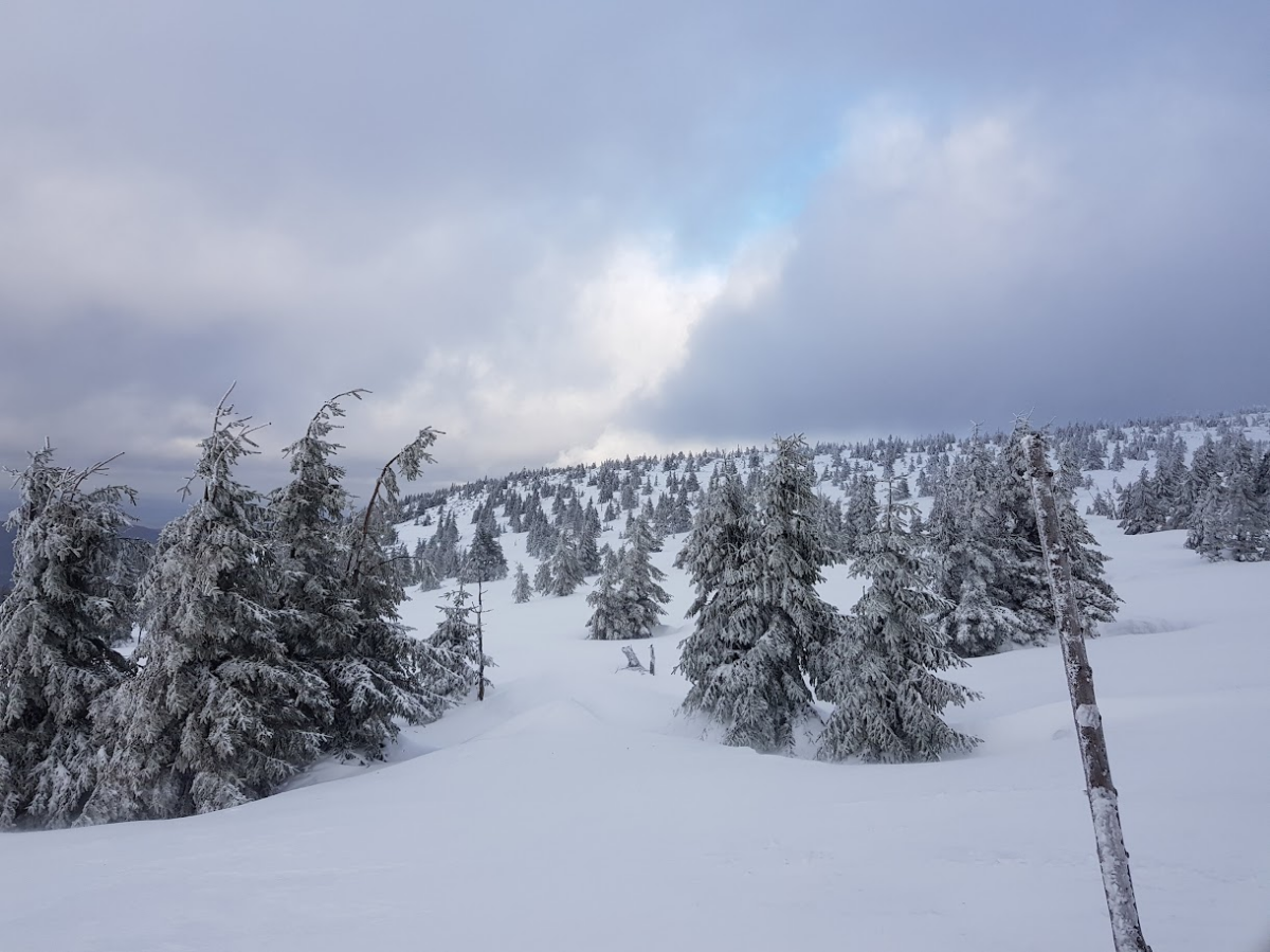 1d12b98c-0756-4dae-bd0c-9feddef264d2