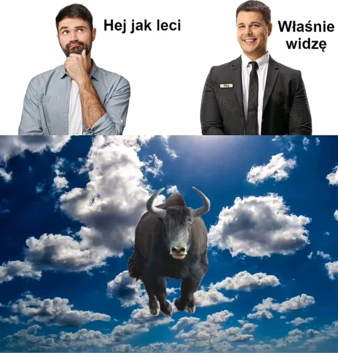 b7771729-3ebe-4e4a-a874-2cbef0d3c4ec