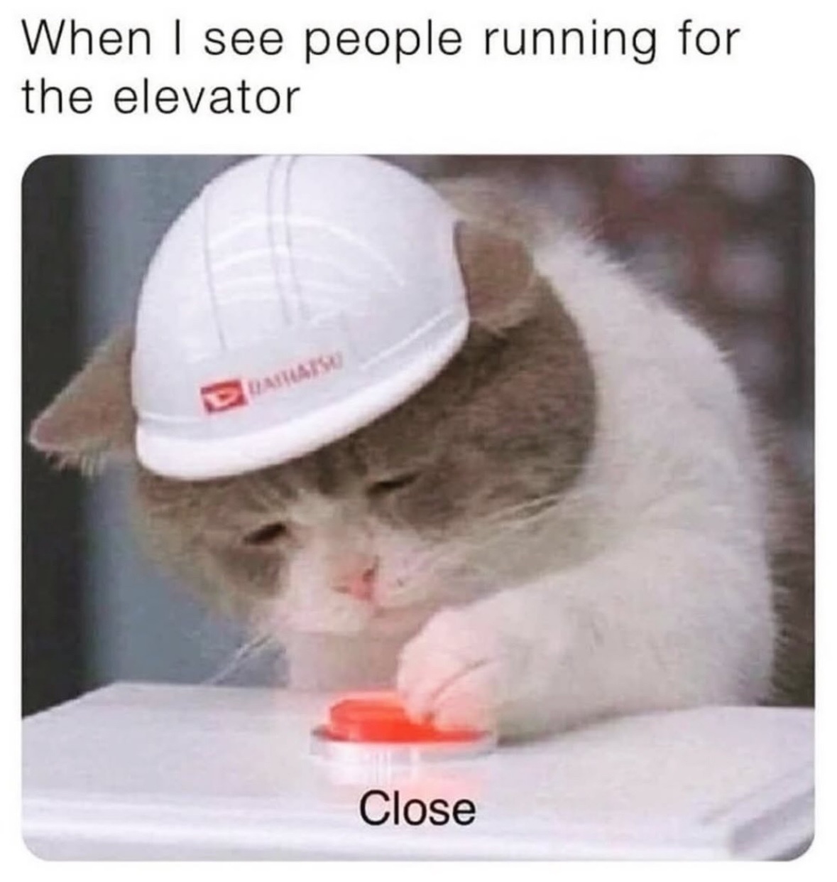 72dc1742-ff55-4753-aa8d-ca2f6c279894